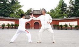 中国功夫小子爆料视频,独家爆料幕后训练与成长历程