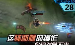 爆料英雄1视频,探寻游戏背后的精彩故事