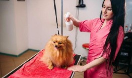 博美爆料新闻视频大全播放,新闻视频大全精彩瞬间回顾